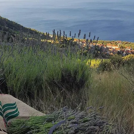 Cecilija Apartmán Sveta Nedelja (Hvar)
